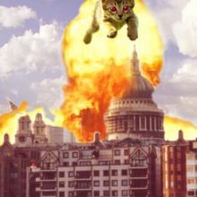 Коты становятся котзиллой!