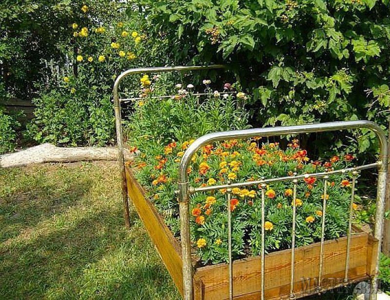 Прикольные стихи с Днем юриста (новые) рекомендации Прикольные стихи с Днем юриста (новые) рекомендации