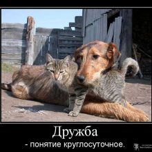 Прикольные картинки про дружбу (46 фото)