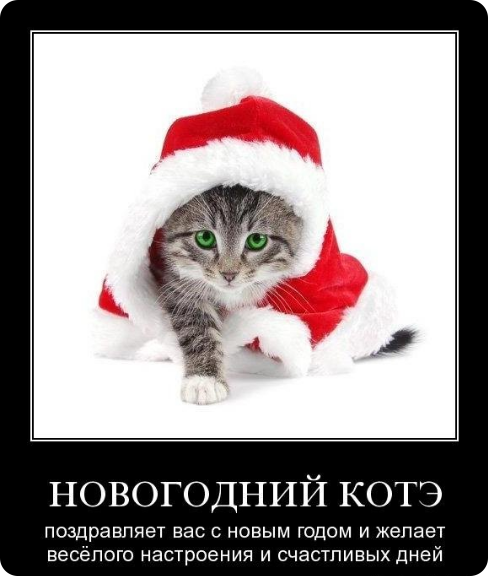 Прикольный статус скоро новый год Прикольный статус скоро новый год