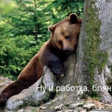 Прикольные картинки про работу с животными (17 фото)