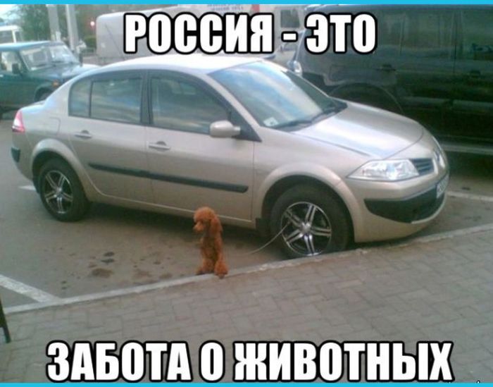 rossia-0011