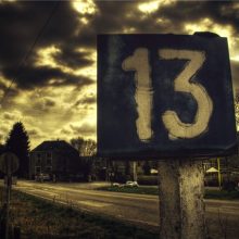 Картинки 13 <strong>раскраска зимующих птиц для детей</strong> (31 фото)