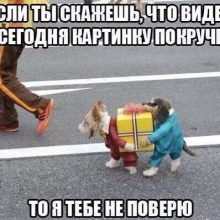 Какие-нибудь картинки (35 фото)
