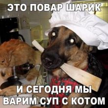 Смешные картинки для поднятия настроения (38 фото)