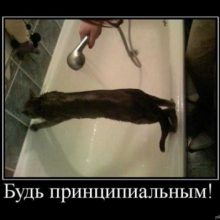 Прикольные картинки демотиваторы (35 фото)