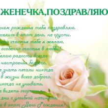 Красивые картинки и открытки С Днем Рождения Евгения (29 фото)