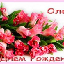 Смешные картинки поздравления С Днем Рождения Олеся (29 фото)