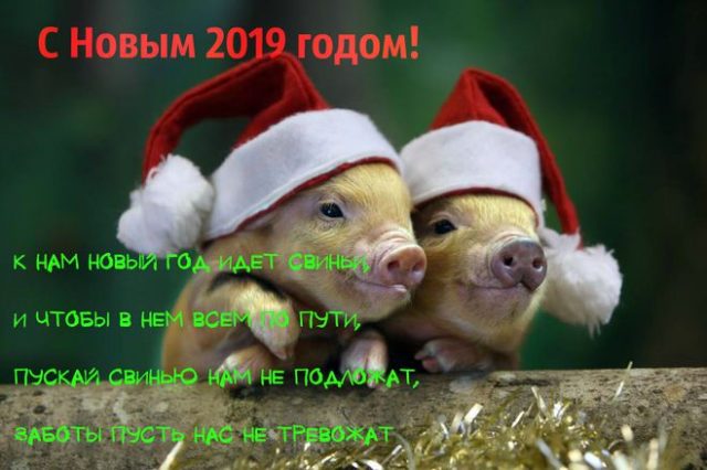 Смотреть Короткие поздравления с Новым годом 2019 в прозе и стихах, смс видео Смотреть Короткие поздравления с Новым годом 2019 в прозе и стихах, смс видео
