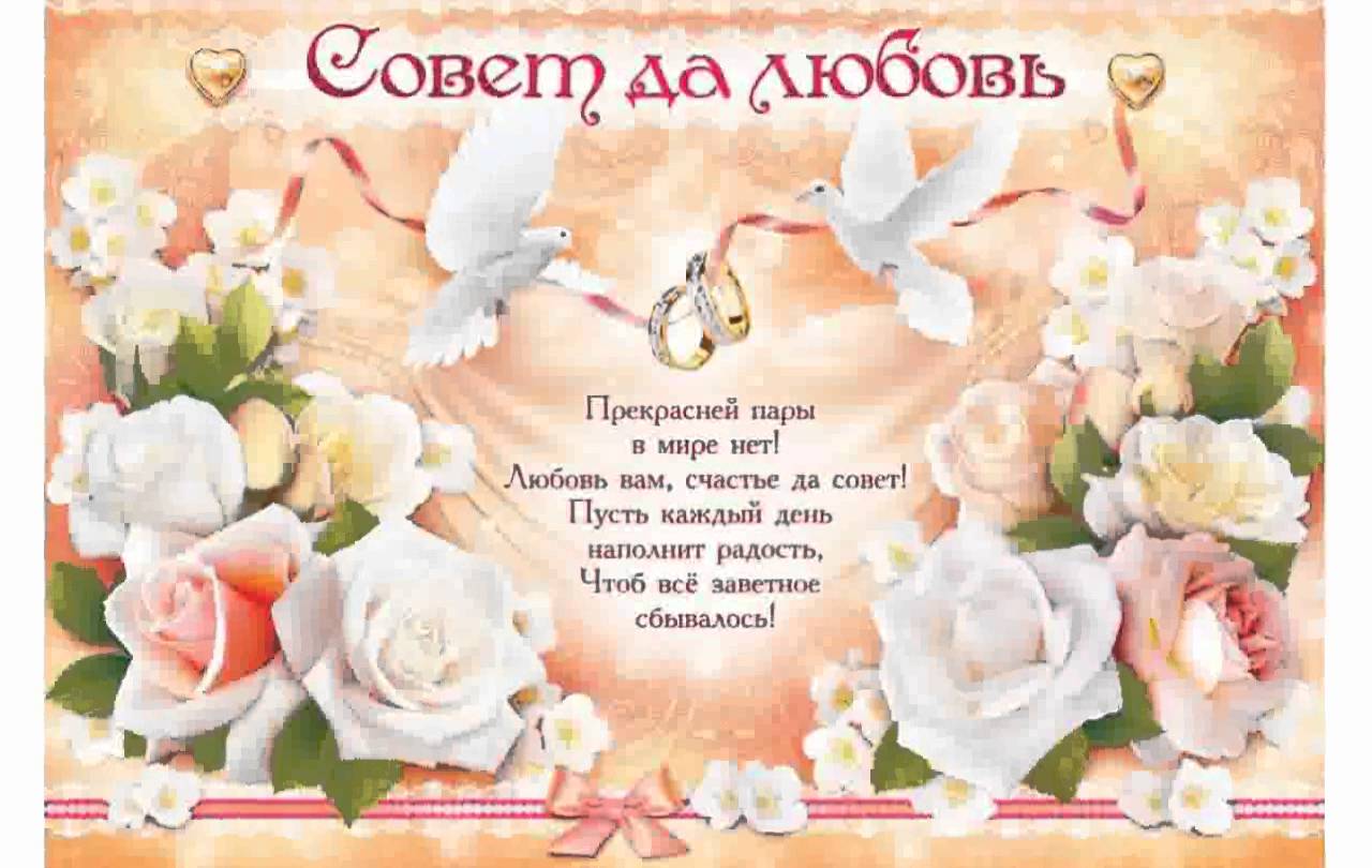 Поздравления На Свадьбе Молодым Видео