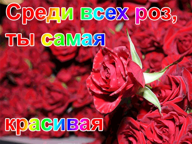 Комплименты Девушке На Фото В Контакте
