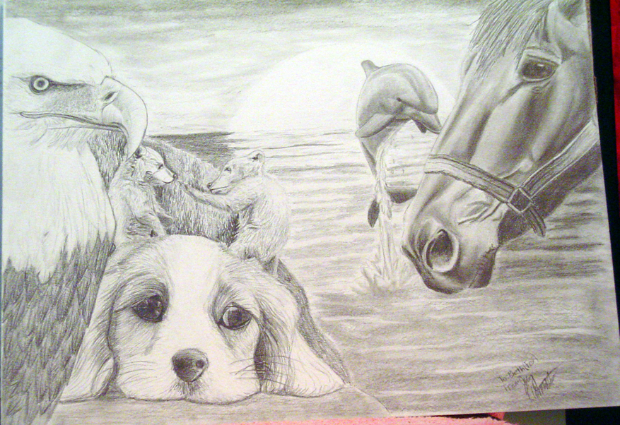 Рисовать Карандашом Легкие Картинки Животные
