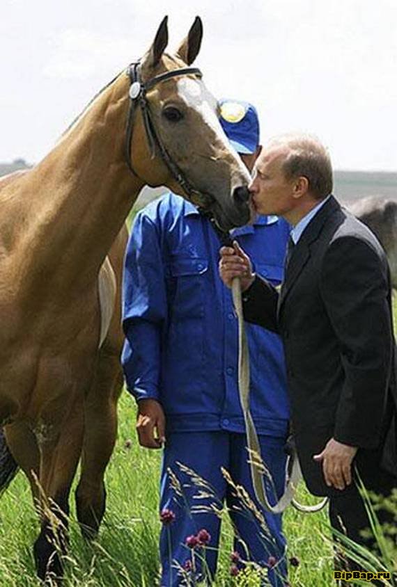 Подборка поцелуев от Путина (23 фото)
