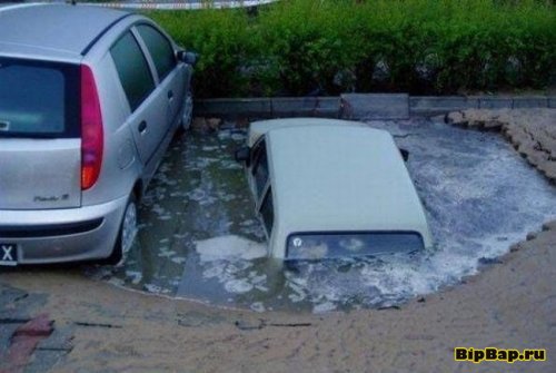 Водители неудачники 