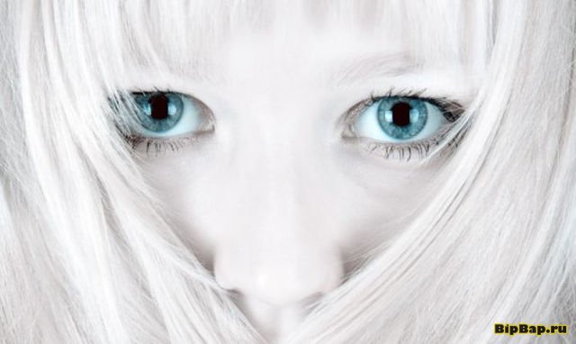 Красавицы с голубыми глазами