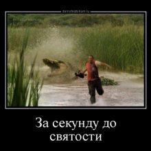 Новая порция демотиваторов