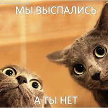 Доброе утро! (10 фото)