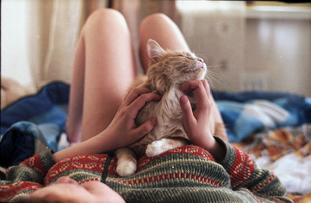 cats-christmas-jumper-girl-kitty-legs-sweater-Favim.com-49358