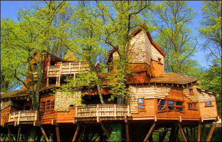 treehouse2