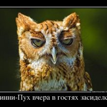 Смешные картинки с добрым утром! (16 фото)