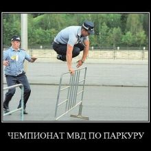 Прикольные демотиваторы (21 фото)