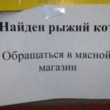 Прикольные объявления. (12 фото)