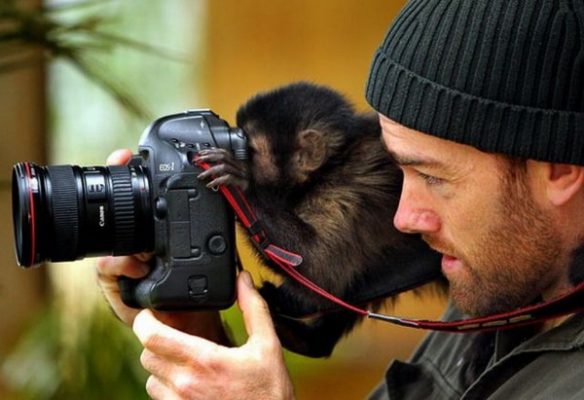 Прикольные картинки фотоаппарата