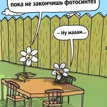 Анекдоты про ученых