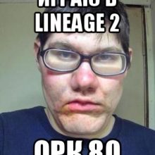 lineage 2 мемы ( 12 Фото )