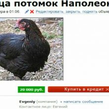Приколы на доске объявлений. (11 фото)