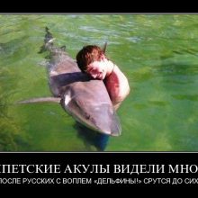 Приколы про русских туристов (16 фото)