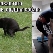 Приколы про фитнес и спортзал (24 фото)