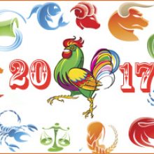 Картинки новогоднего петуха к 2017 году ( 7 фото )