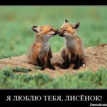 Прикольные картинки с надписями «Я тебя люблю» (36 фото)