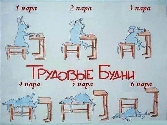 Приколы про учебу в картинках