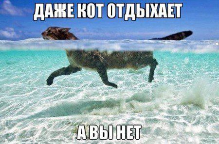 Фото в воде смешные