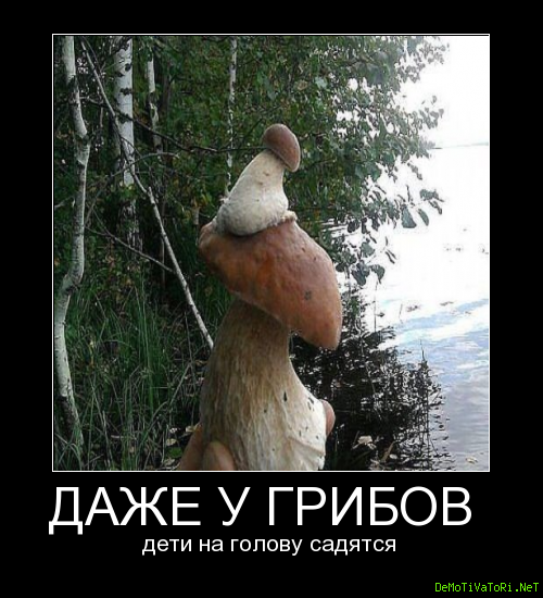 8365caadd18e69a7c1753c1a3e5c0631