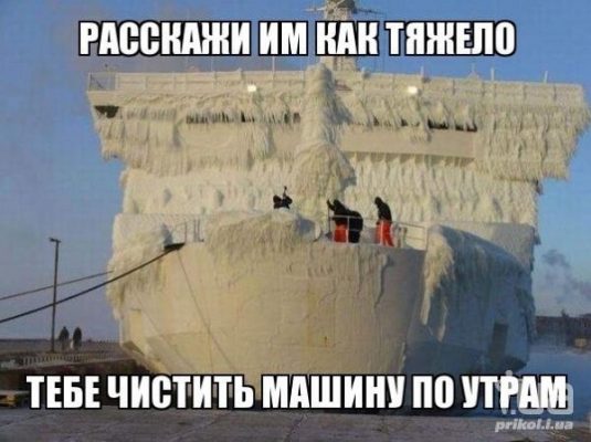 Смешные картинки про лето холодное день в майке