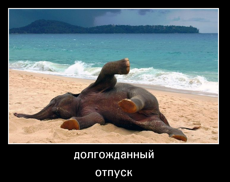 Прикольные картинки про отдых на море (56 фото