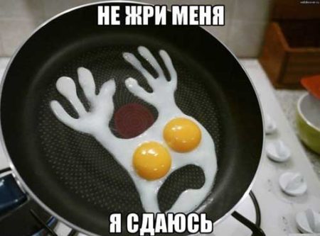 Смешные картинки про еду на ночь