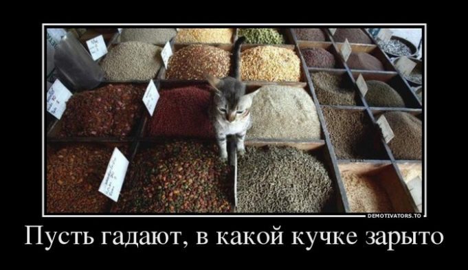 прикольные картинки про игровые автоматы фото прикольные картинки и юмор прикольные картинки про игровые автоматы фото прикольные картинки и юмор