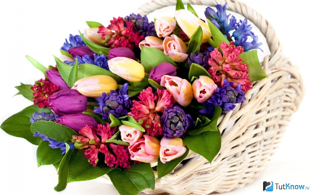 Image result for bukety cvetov kartinka