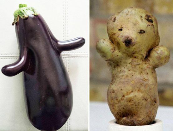 Садим картошку смешные картинки