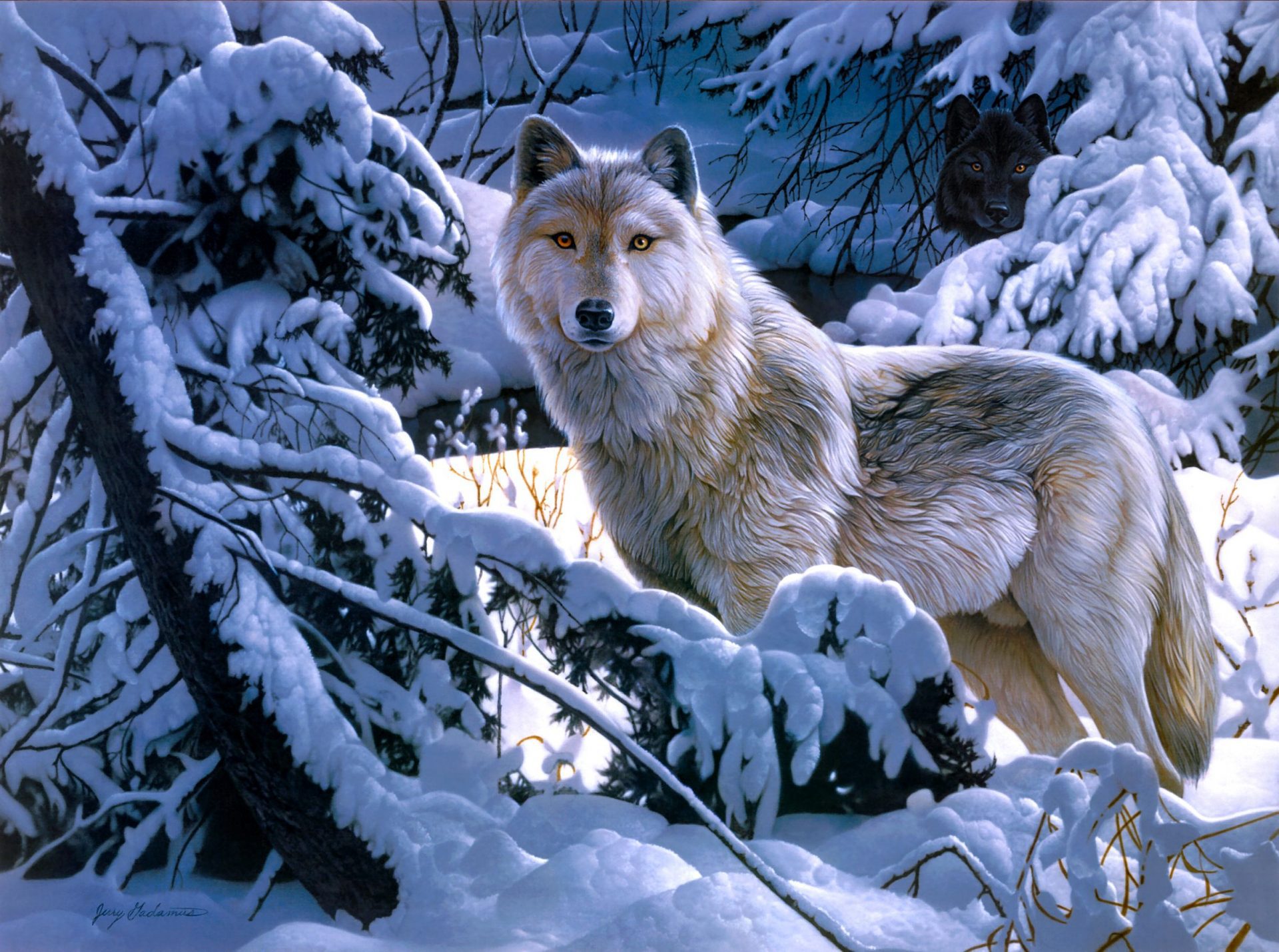 Фото с волками красивые на заставку