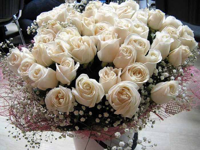 Белые Розы Букет Фото Красивые