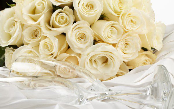 Роскошные белые розы: подборка картинок