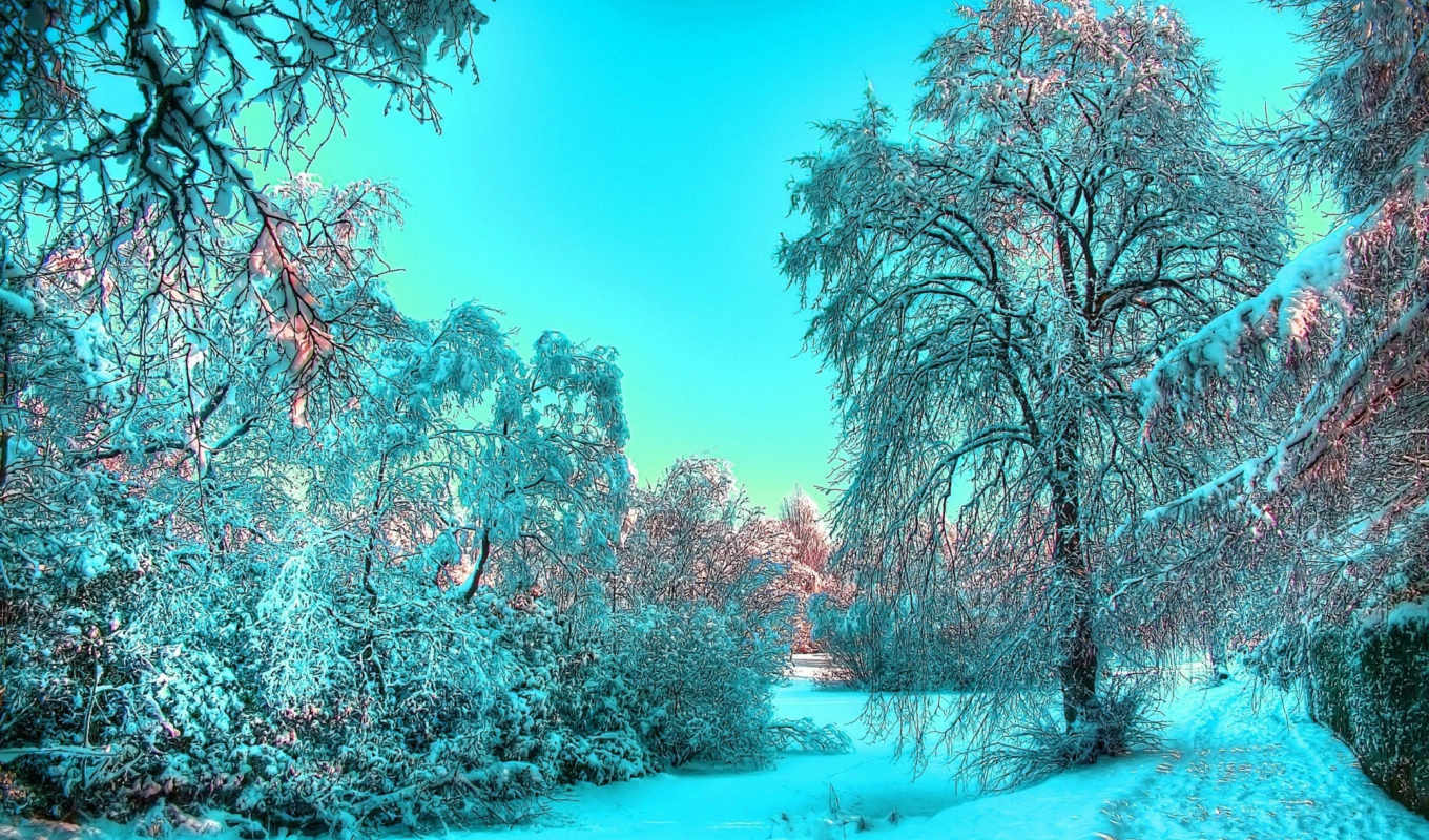 Картинки на рабочий стол красивой зимы (35 фото) 🔥 Прикольные картинки