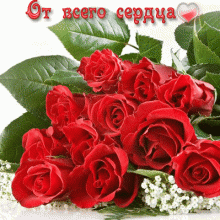 Красивые картинки и открытки (37 фото)