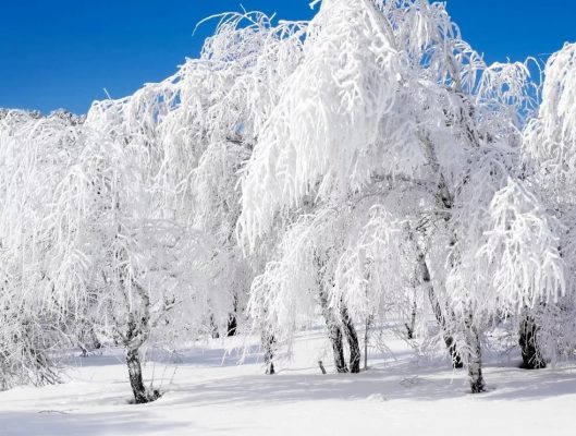 Снег на фото онлайн бесплатно