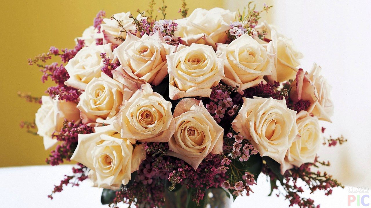 Розы Фото Букеты Красивые Шикарные